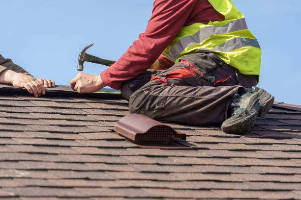 Best Commercial Roofing Services  in Cedaredge, CO